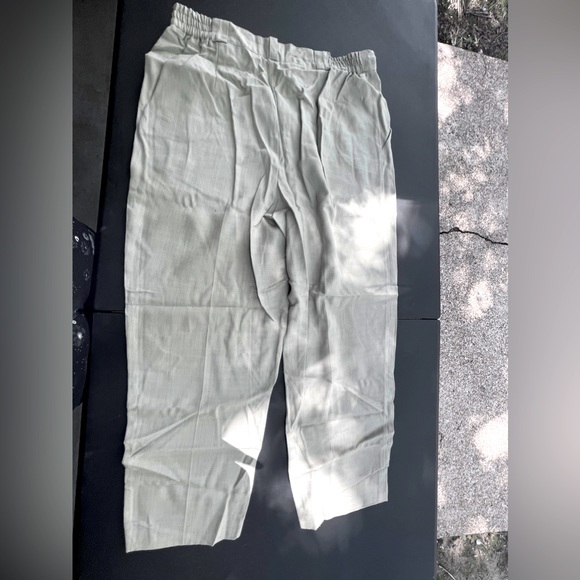 Dudley Woman pants, light sage green, size 18, gently used, inseam 28” - Picture 3 of 5